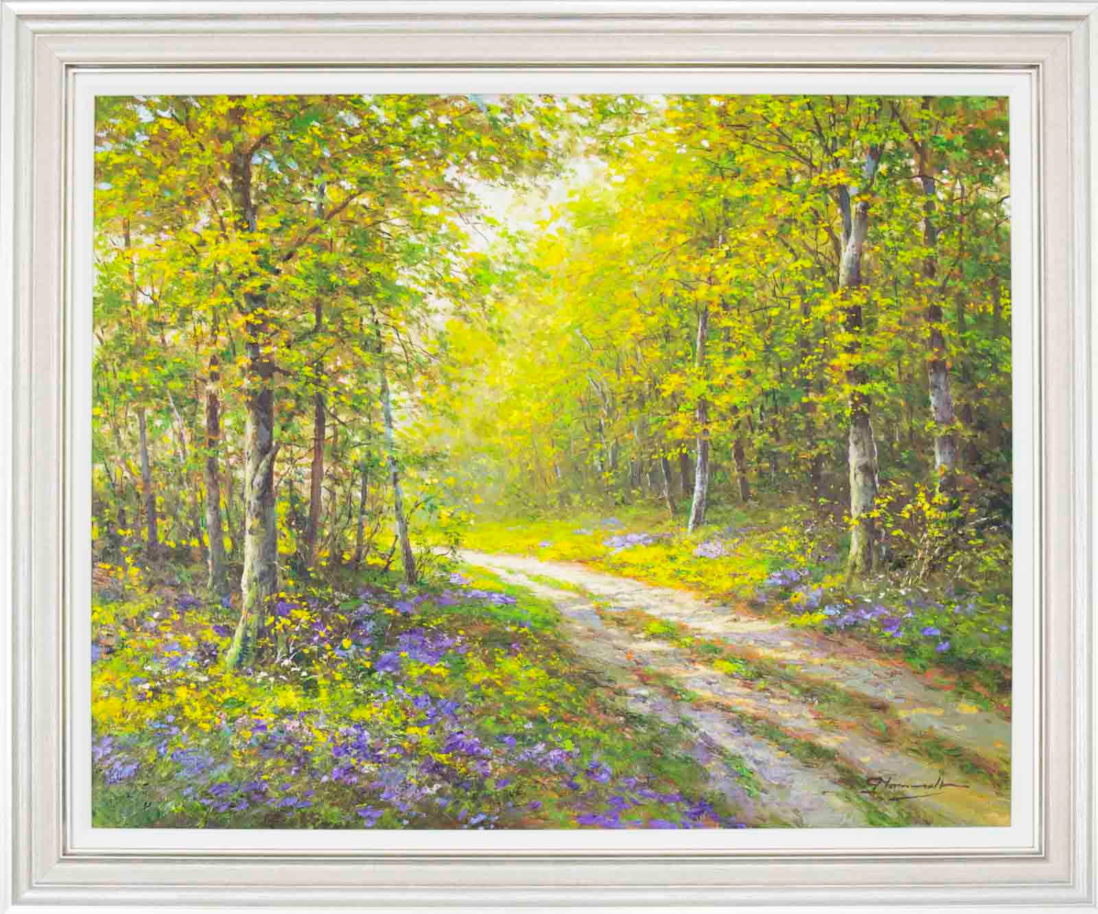 Forest Bathing II