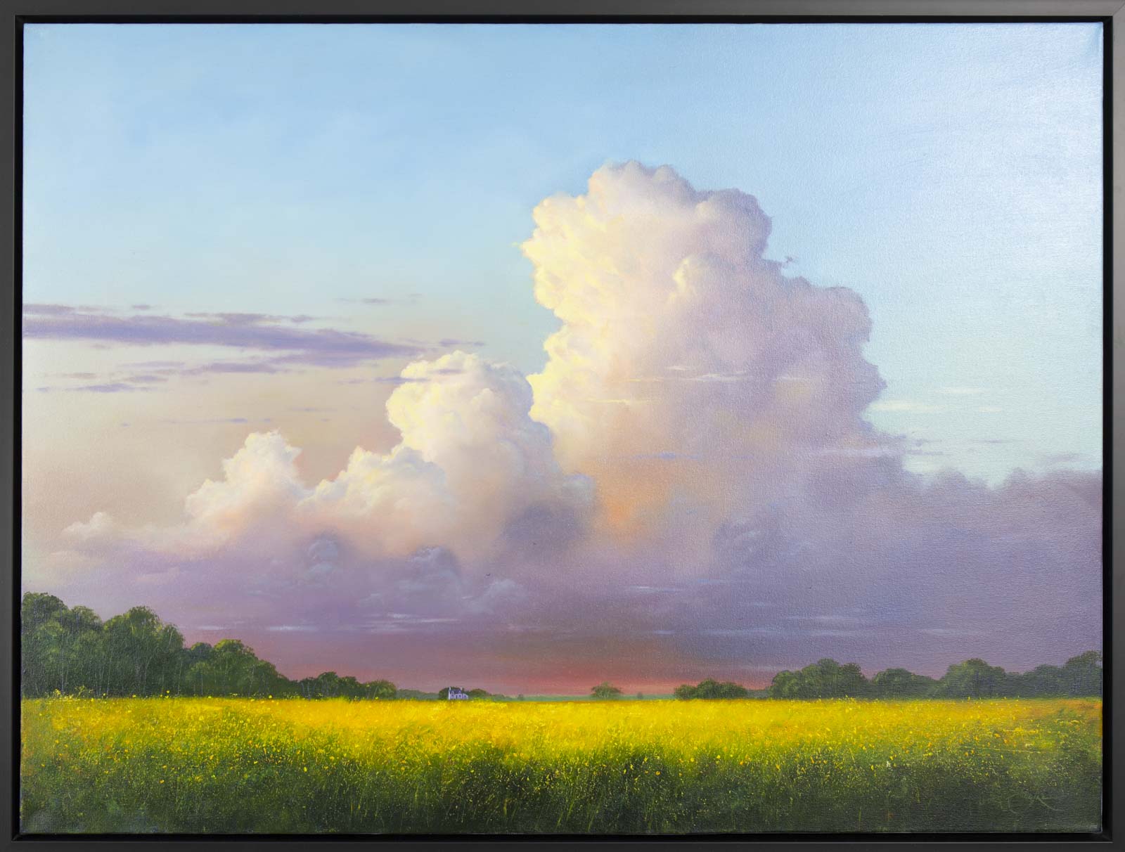 Summer Storm