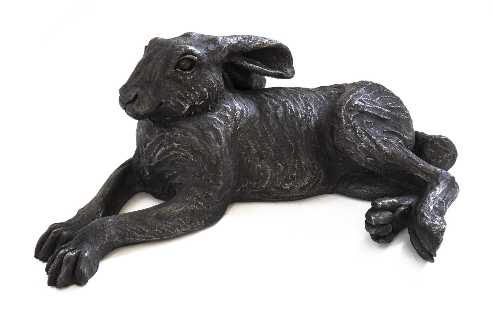 Medium Lying Hare