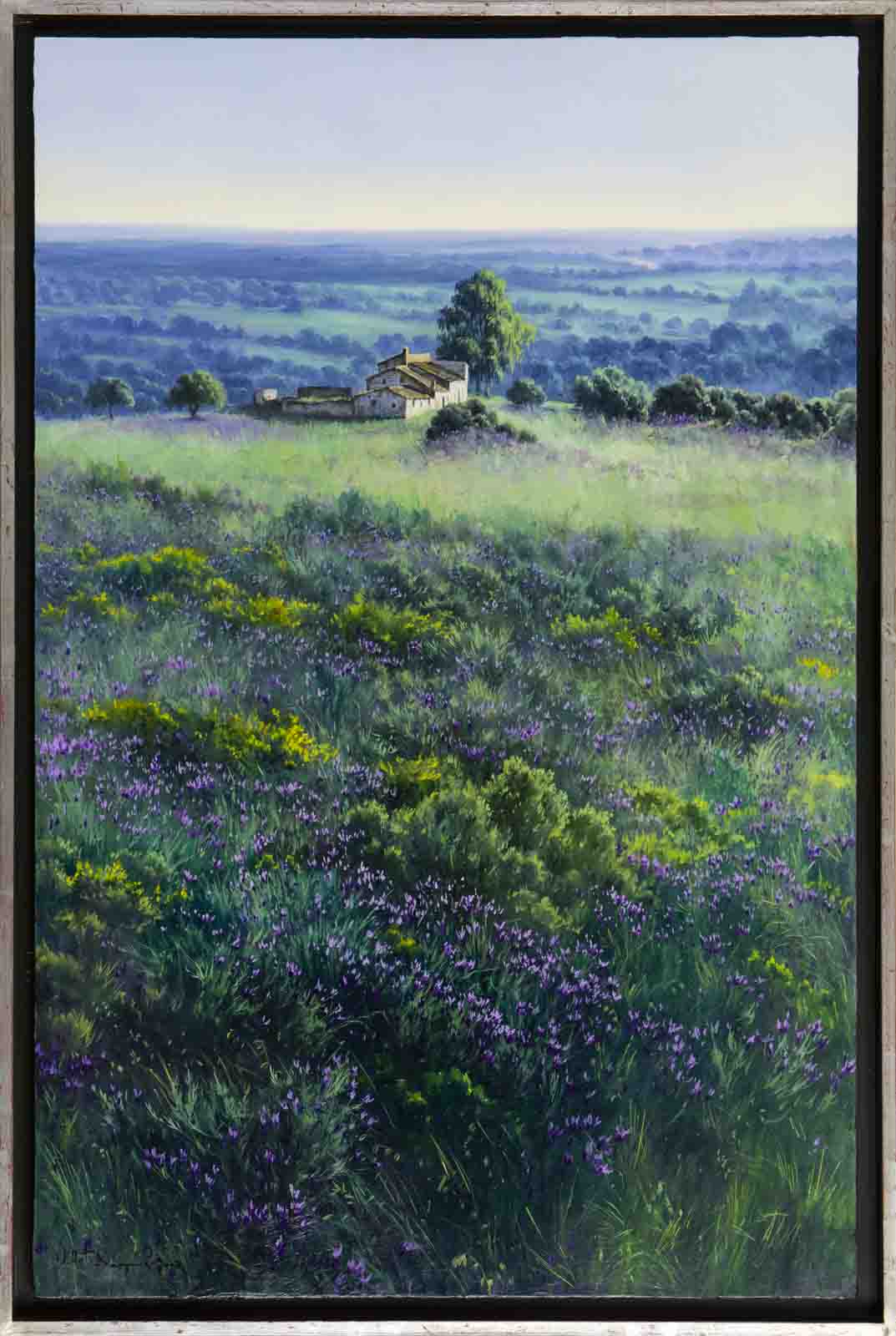 Paisaje Andaluz