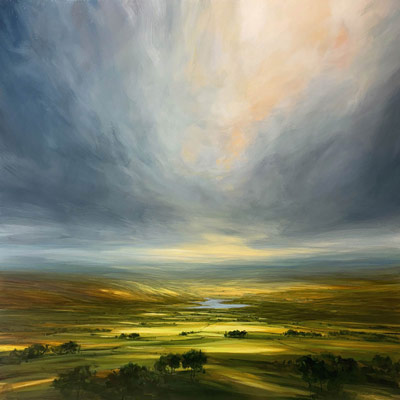 Harry Brioche Landscapes