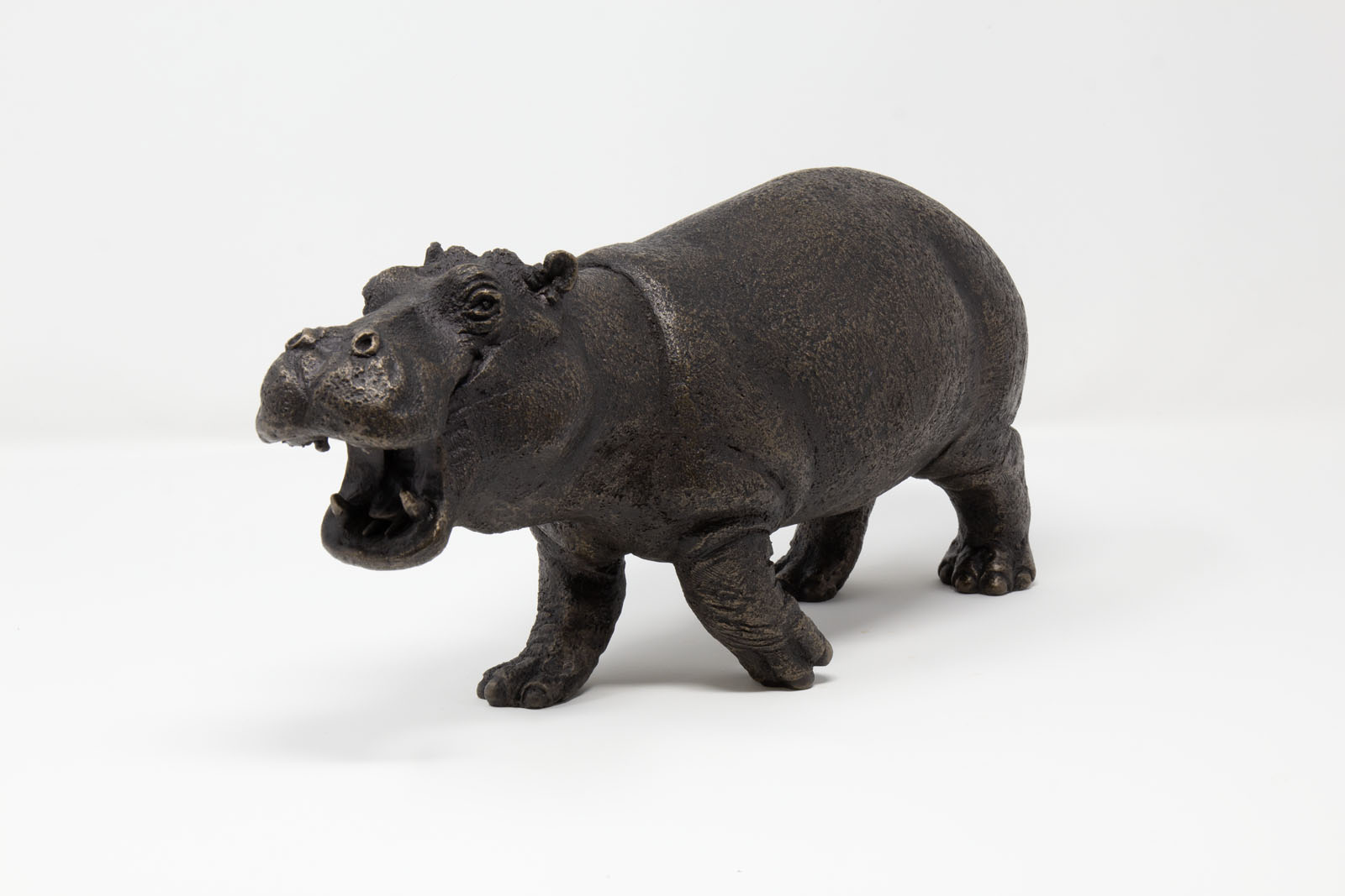 Steve Hippo