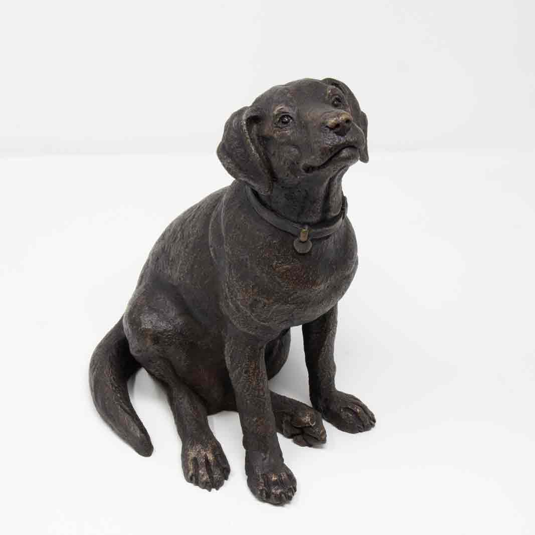 Suzie Marsh Dogs