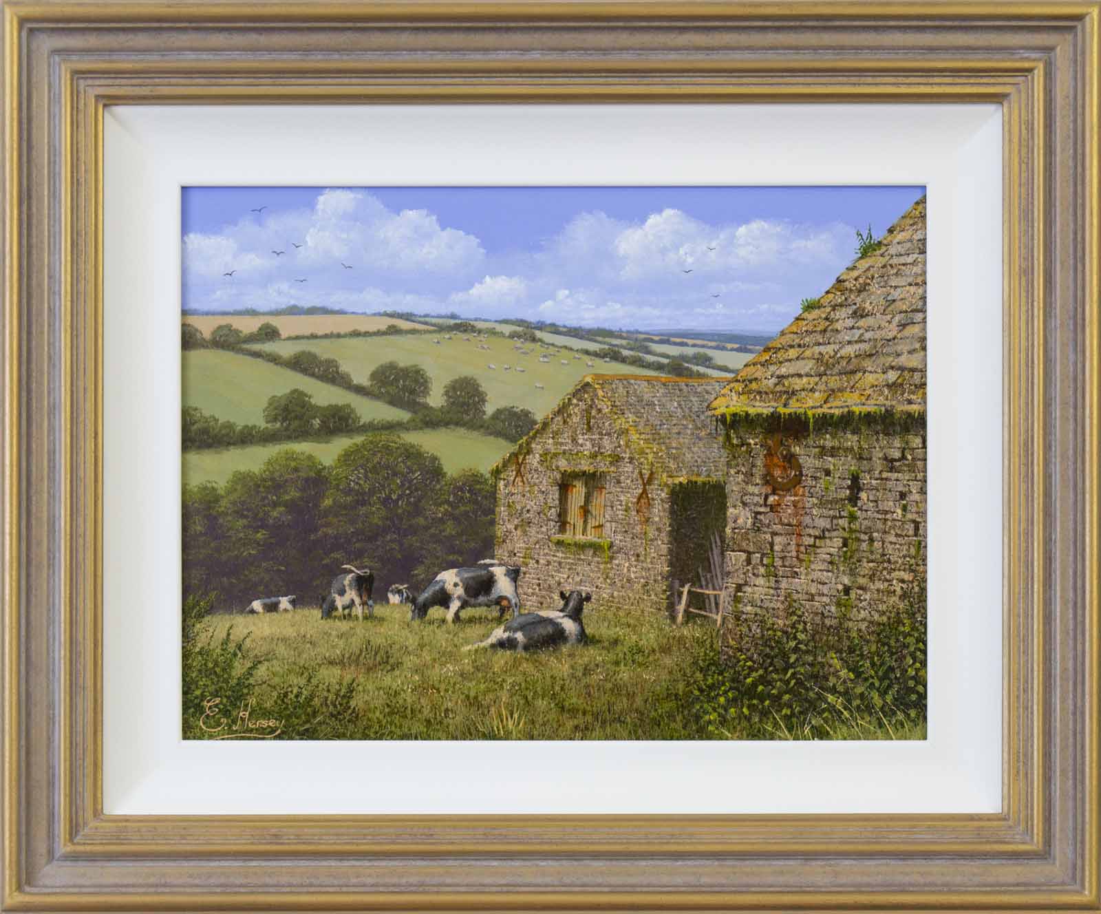 Grazing, Cotswolds