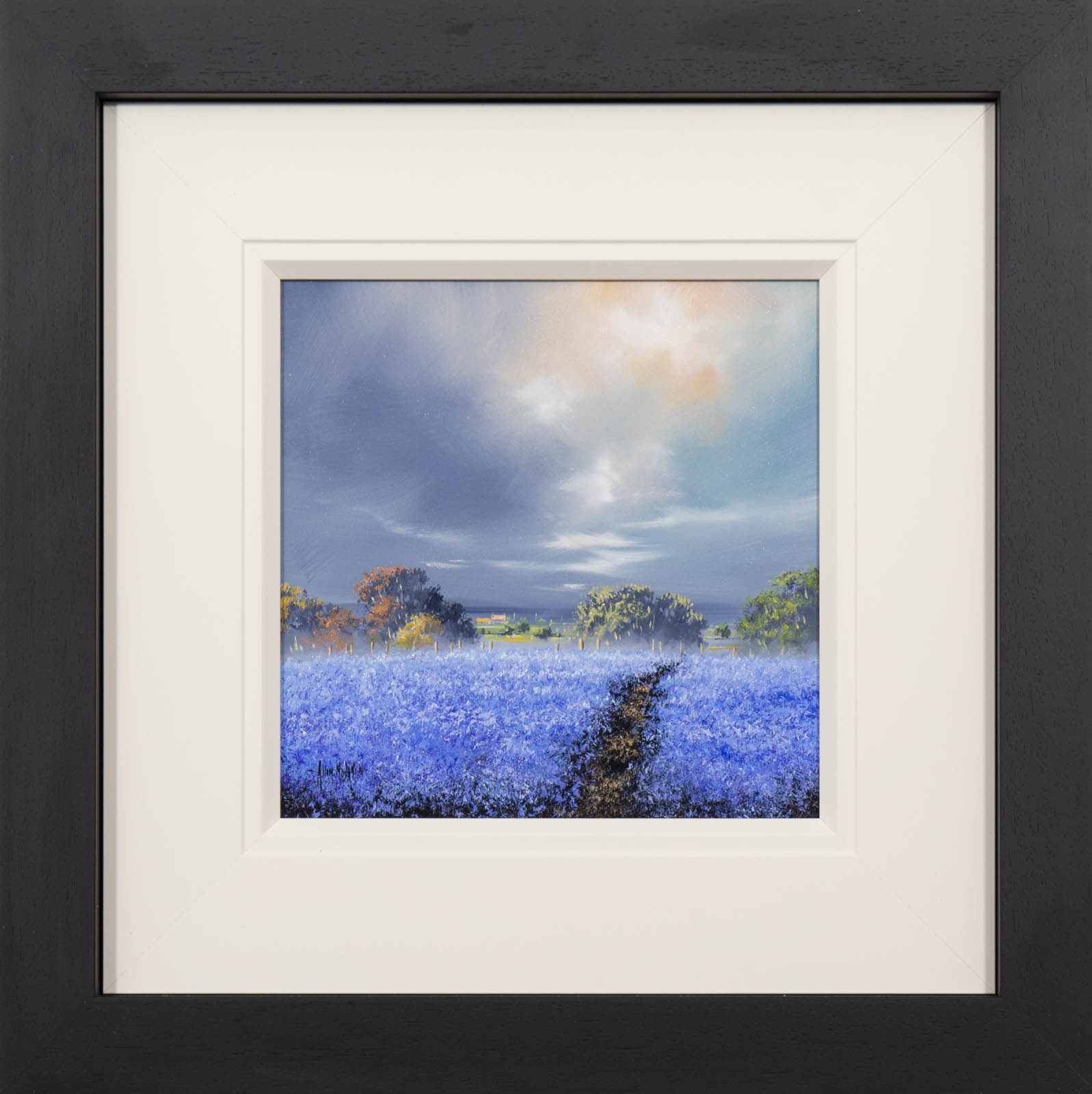 Blue Horizons