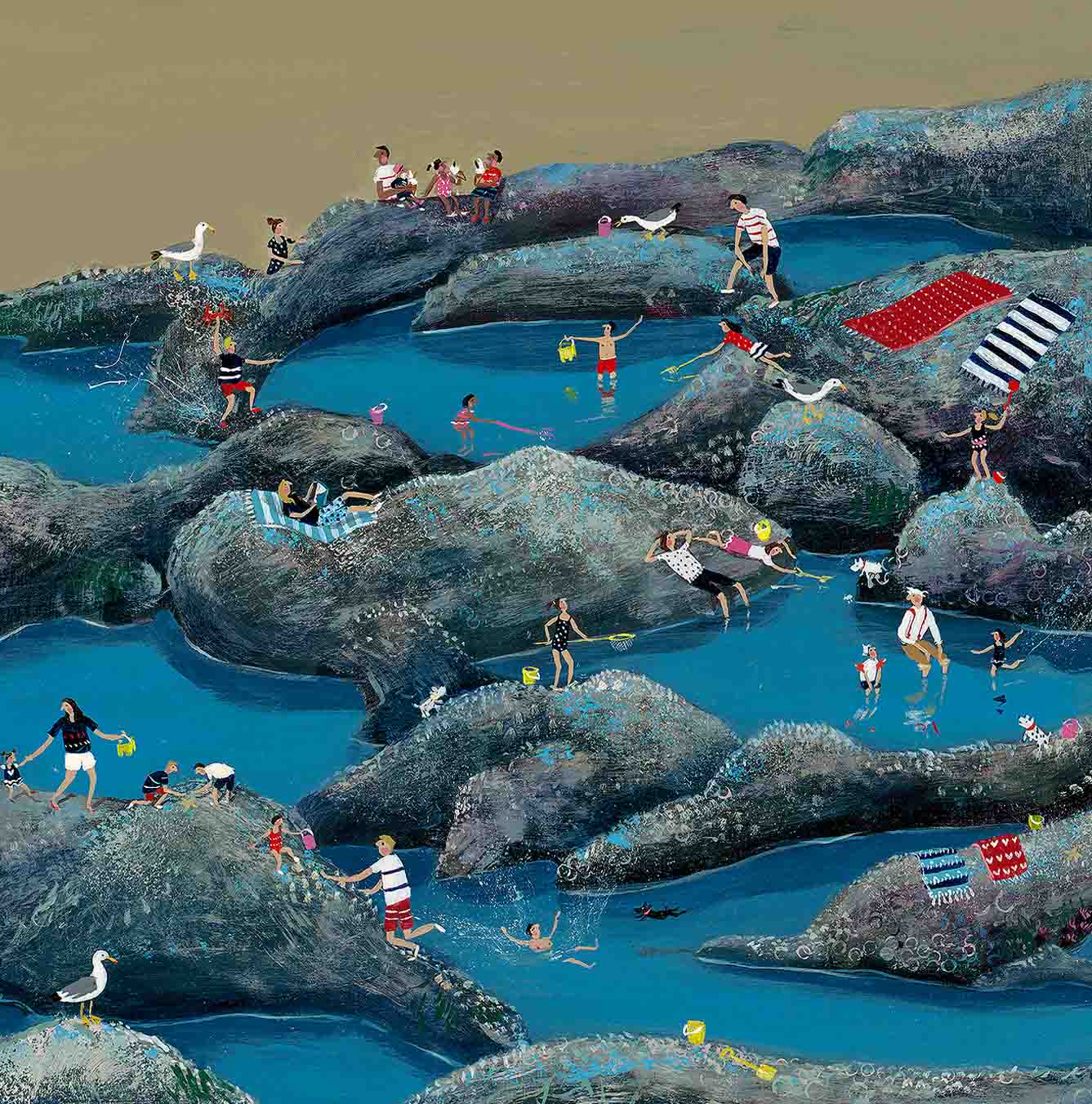 Rock Pools