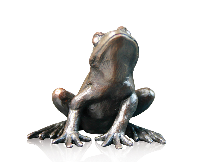 Small Frog Alert (918)