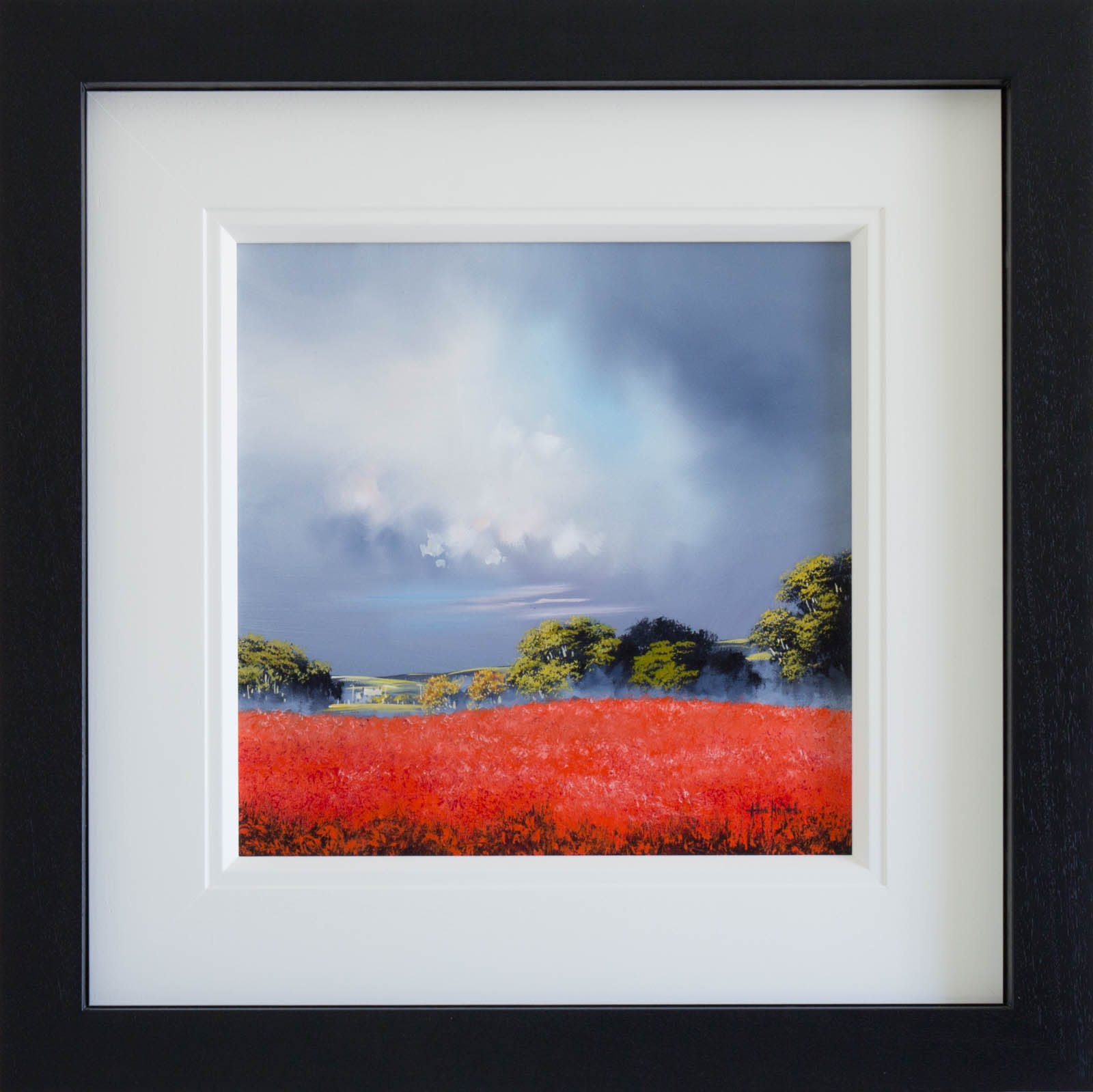 Fields Of Red