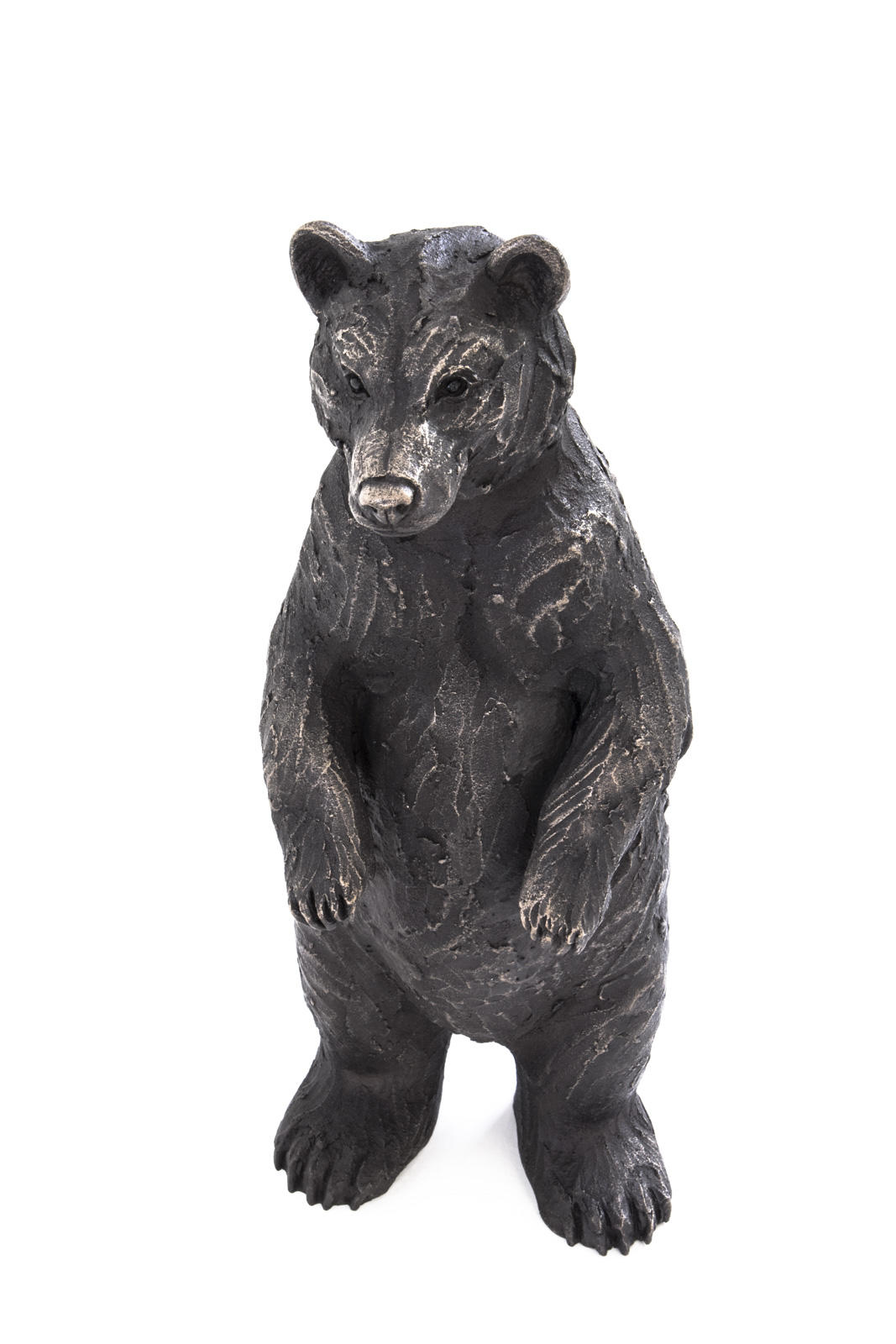 Henry, Bear Cub Standing