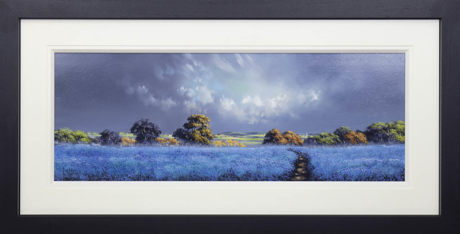 Cornflower Fields
