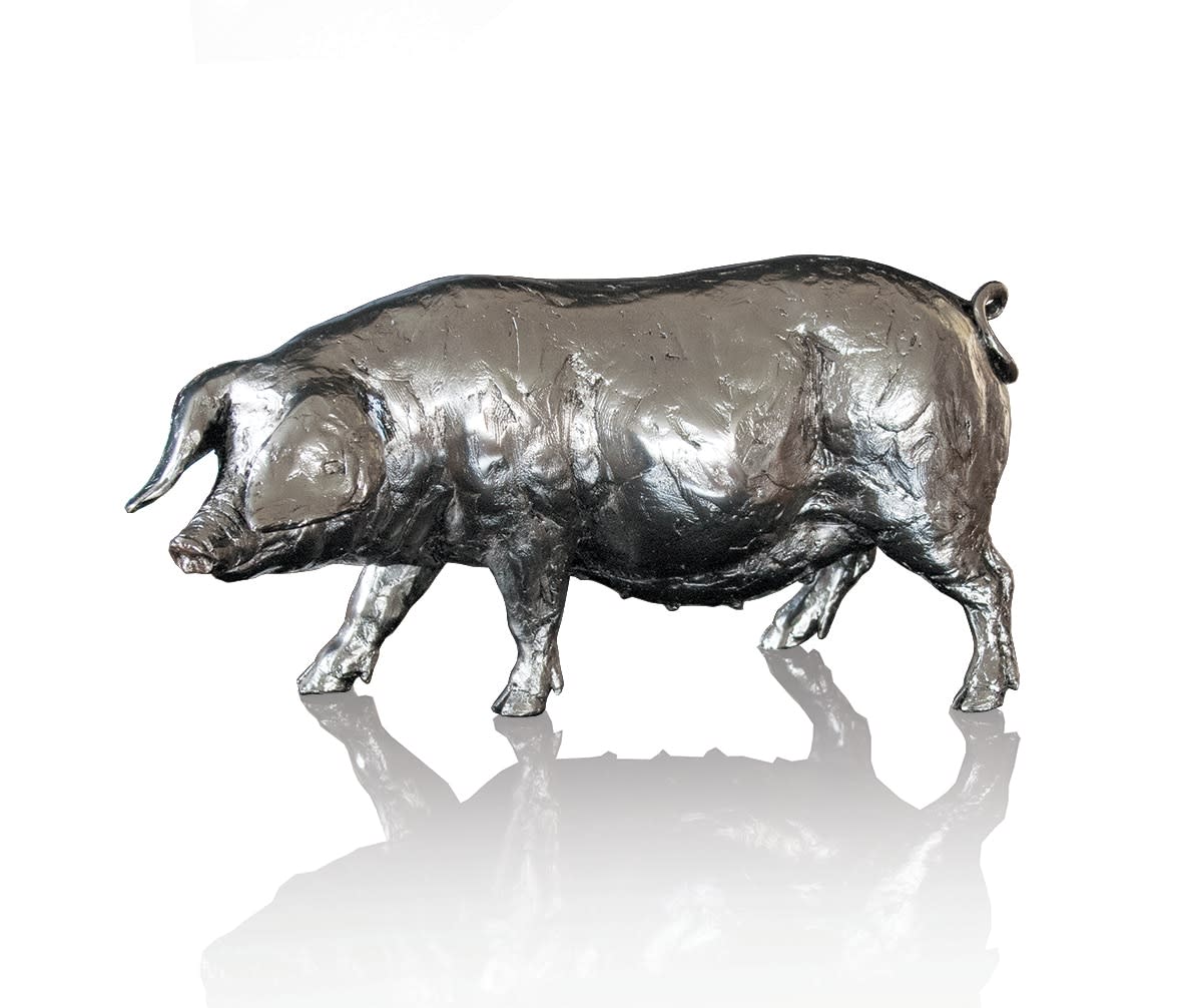 Pig (304NP)